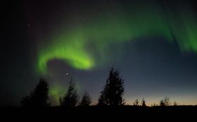 Lapland Forest Lodge